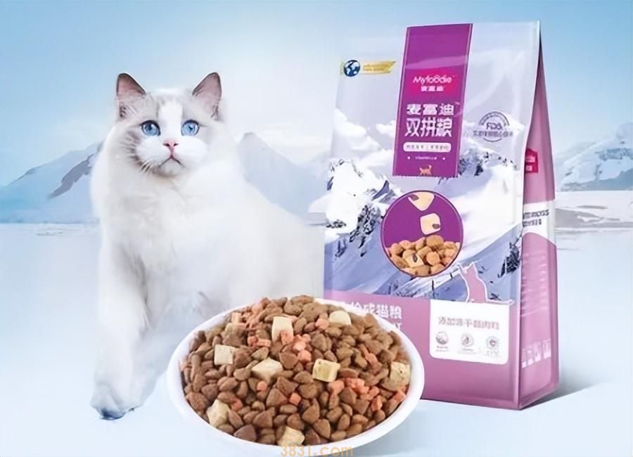 折耳猫应该吃什么猫粮?适合折耳猫吃的两款猫粮(图3)