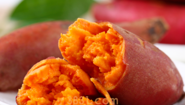 养猫多喂这七种蔬菜,猫咪营养更均衡!(图5)