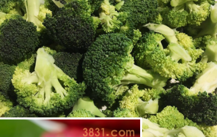 养猫多喂这七种蔬菜,猫咪营养更均衡!(图4)