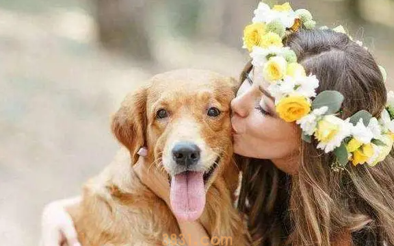 狗的皮肤病越来越严重怎么办?(图1)