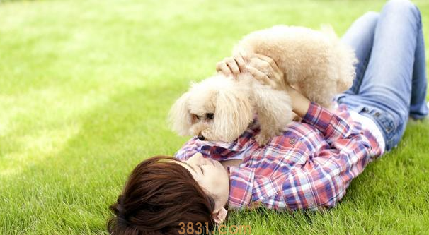 狗的皮肤病越来越严重怎么办?(图2)