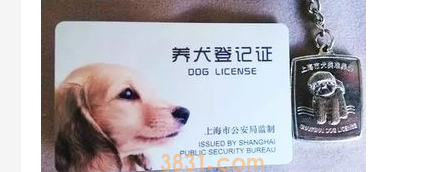 狗被抓了没有狗证怎么办?狗被警察抓走了还能要回来吗没有狗证?(图2)