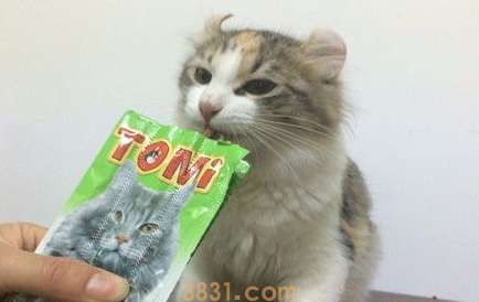 猫咪挑食太瘦怎么办?来看这里~(图2)