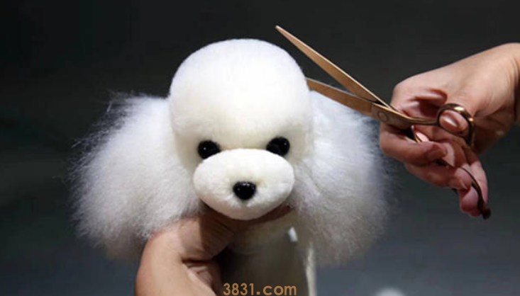 清理狗毛工具介绍!(图2)