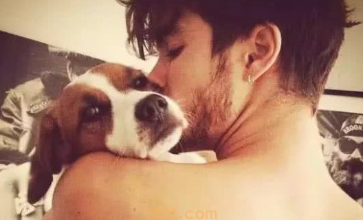 哪些品种的狗狗容易相处?(图1)