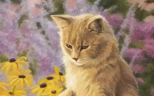 小猫猫藓初期症状是咋样的?一定要知道(图2)