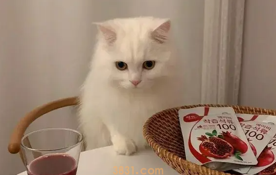 猫像呛到一样一抽一抽的怎么回事呢?(图1)