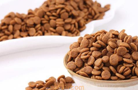 幼犬狗粮怎么泡?你知道吗?(图2)