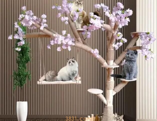为什么猫咪需要一棵猫树?(图1)