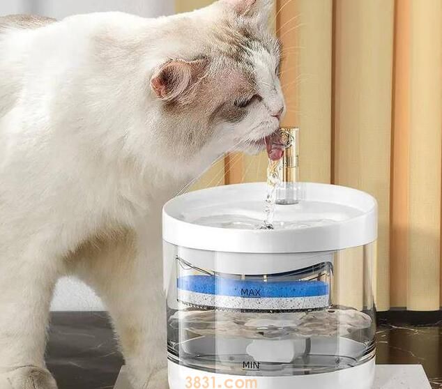 猫咪不喝水,送给不爱喝水猫咪的小妙招!(图1)