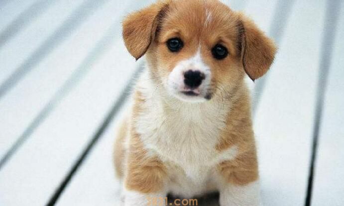 细小治疗方法(图3)