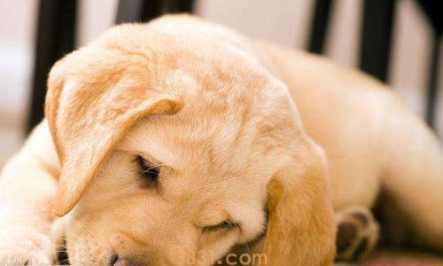 细小潜伏期能测出来吗(图3)