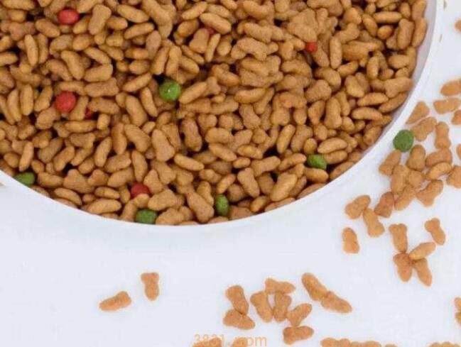 怎么辨别猫粮变质了(图1)