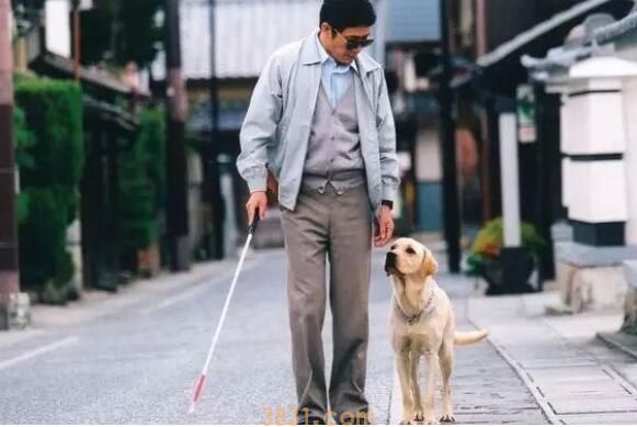 导盲犬可以进入公共场所吗(图1)