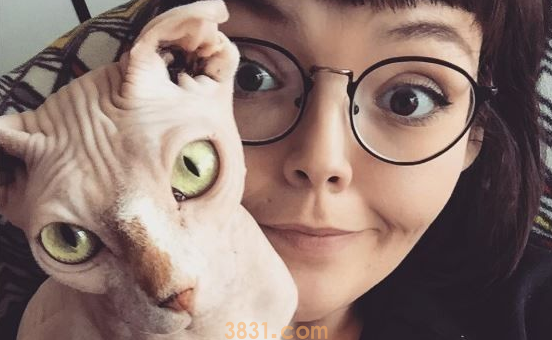 无毛猫咪陪伴失恋女生 帮她走出最痛苦的阶段(图1)