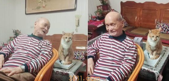 收养橘猫5年,怕90岁老人反对不敢带回家,结果大家纷纷变猫奴(图4)