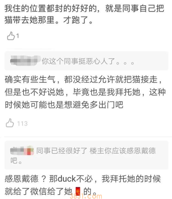 武汉同事冒险帮忙喂猫,猫咪走失后,反遭主人发帖吐槽!(图3)