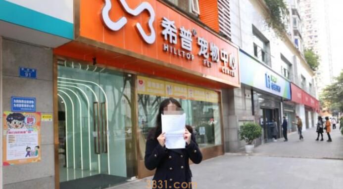爱猫洗护不当死亡,猫主被宠物医院列入“黑名单”……(图1)