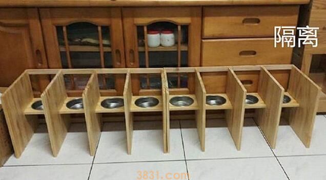 小伙针对9只猫咪抢食事件,手工打造隔离区,开饭时愣住了(图1)