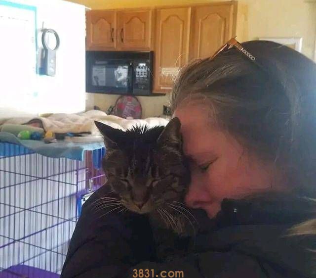 10岁老猫与主人5年后再重逢,它一眼就认出“妈妈”(图4)