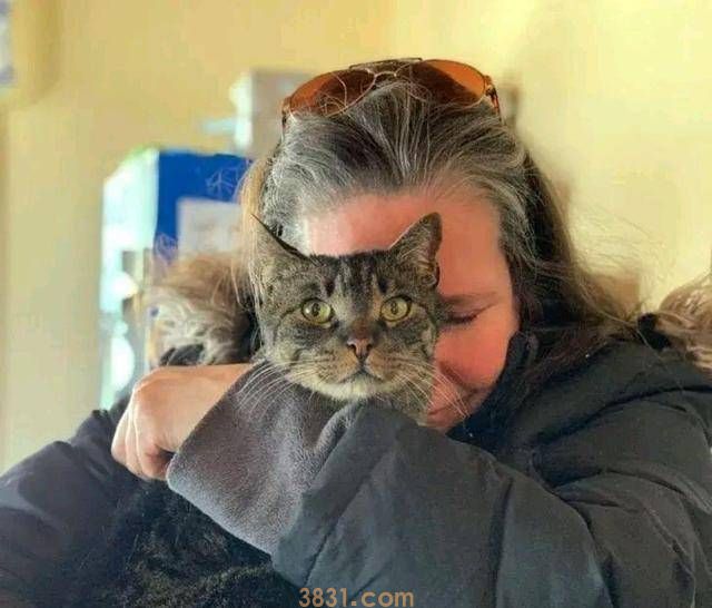 10岁老猫与主人5年后再重逢,它一眼就认出“妈妈”(图5)