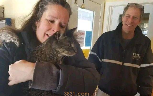 10岁老猫与主人5年后再重逢,它一眼就认出“妈妈”(图6)