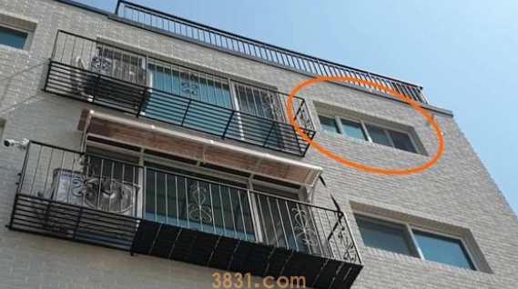 主人忘记封窗,致使名贵品种猫从楼上跳下,找到时猫咪还在发抖(图3)