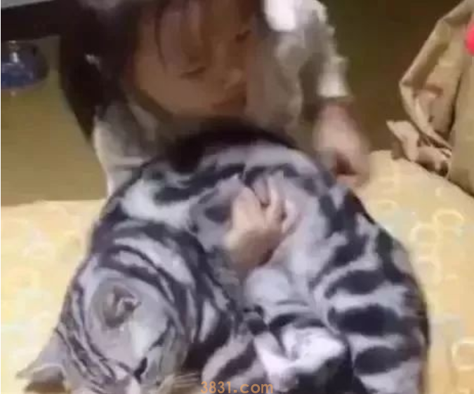 熊孩子扛起猫咪就走,猫咪的表情绝了,猫:我能怎么办?(图1)