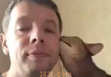 一只心机猫,假装向主人撒娇,却偷偷的去抓鸡腿,爪子伸的老长!(图1)