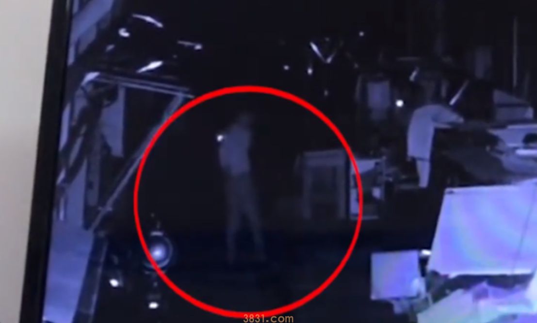 江苏一男子深夜恶意多次棒打母猫致死,主人泣不成声:它才刚生产(图2)