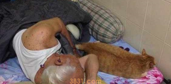 网友出差前请爷爷照顾猫咪,回来时,爷爷:你快走别碰我孙儿(图1)