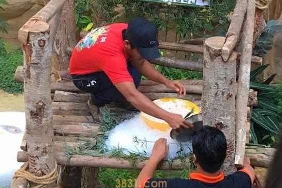 大熊猫暖妹喜度生日,享受饲养员特制蛋糕,被奶爸细心照料长大!(图2)