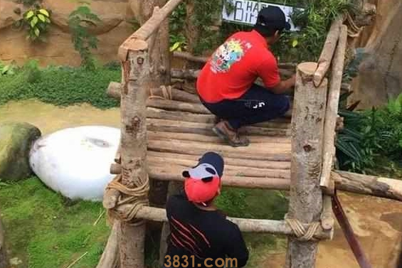 大熊猫暖妹喜度生日,享受饲养员特制蛋糕,被奶爸细心照料长大!(图4)