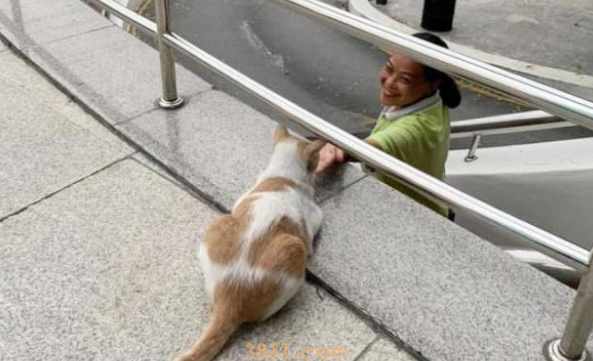 猫咪被锁超市一夜,众多货物遭殃,店长准备报警时遇到好心人(图4)