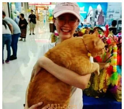 小姐姐带着橘猫去商场,发现周围人看自己,低头一看,瞬间明白了(图2)
