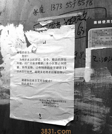 萧山能不能不办狗证 | 禁止饲养猫狗等宠物 杭州萧山梅花楼小区物业一纸通知引发网友争议(图2)