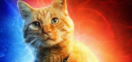 《惊奇队长》预告曝光 宠物猫身影萌化影迷(图1)