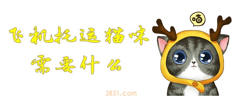 飞机托运猫咪需要什么(图1)