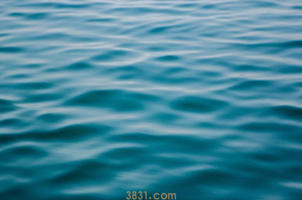 这位老爸是资深猫奴,买了双猫爪袜子跟猫咪显摆,把它们吓坏了(图2)