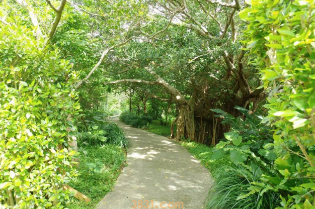 这位老爸是资深猫奴,买了双猫爪袜子跟猫咪显摆,把它们吓坏了(图6)