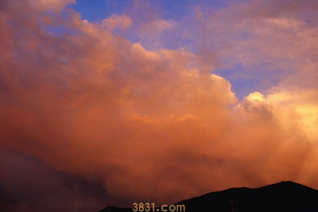 这位老爸是资深猫奴,买了双猫爪袜子跟猫咪显摆,把它们吓坏了(图7)