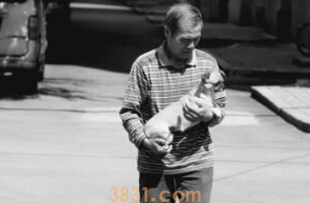 小区发现“毒奶片”狗猫鸟相继亡(图1)