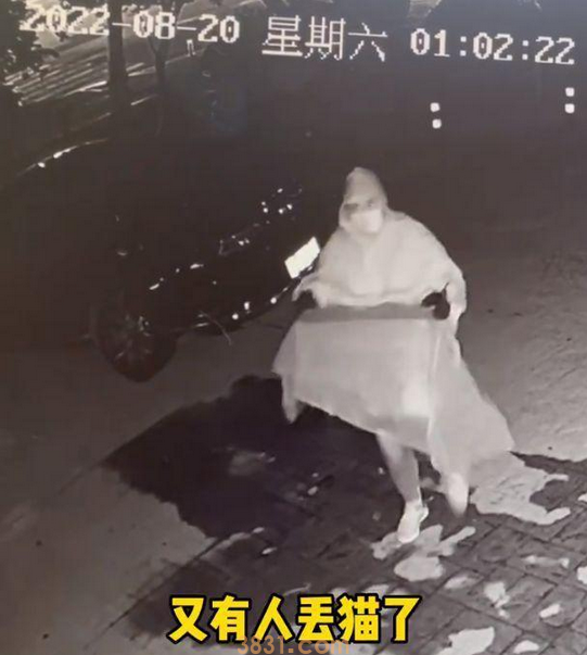 爱心网红靠流浪狗得百万打赏,猫德学院濒临破产,宠物经济真奇怪(图2)