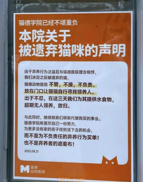 爱心网红靠流浪狗得百万打赏,猫德学院濒临破产,宠物经济真奇怪(图3)
