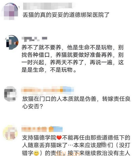 爱心网红靠流浪狗得百万打赏,猫德学院濒临破产,宠物经济真奇怪(图4)