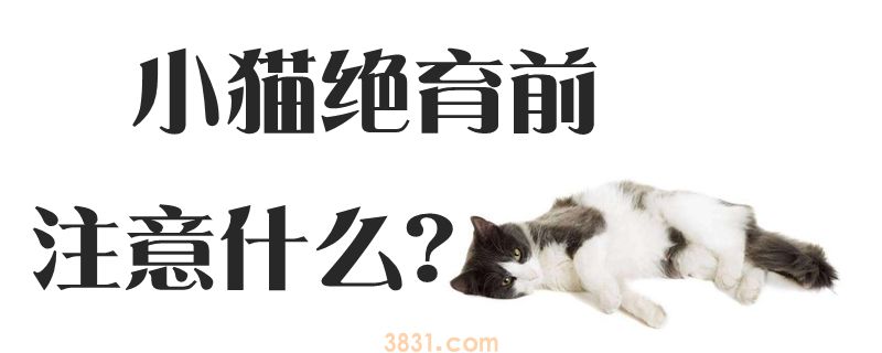 小猫绝育前尽量有什么(图1)