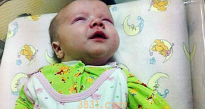 猫咪用身体温暖挽救了男婴的生命,获赞“英雄猫”(图2)