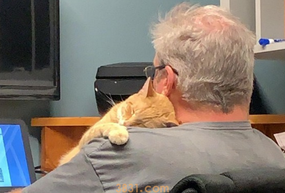 老爸强硬拒绝养猫 十个月后却,你有这样的老爸吗?(图1)