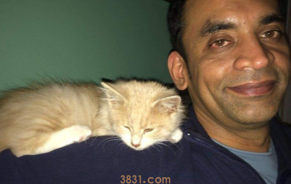 老爸强硬拒绝养猫 十个月后却,你有这样的老爸吗?(图2)