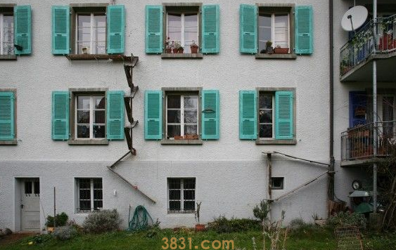 摄影师发现瑞士奇景 每家都有猫咪专属的猫楼梯(图3)